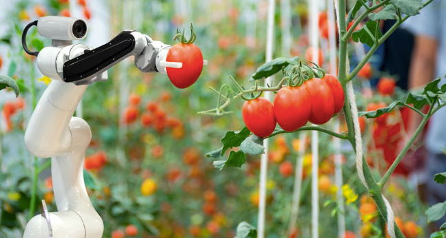 Agricultural Robotics and Automation